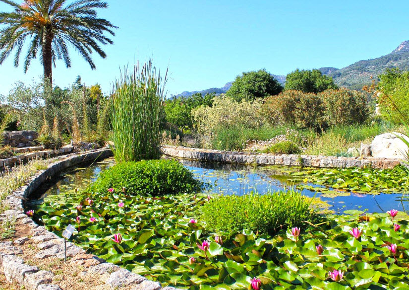 MUCBO | Jardí Botànic, Spain